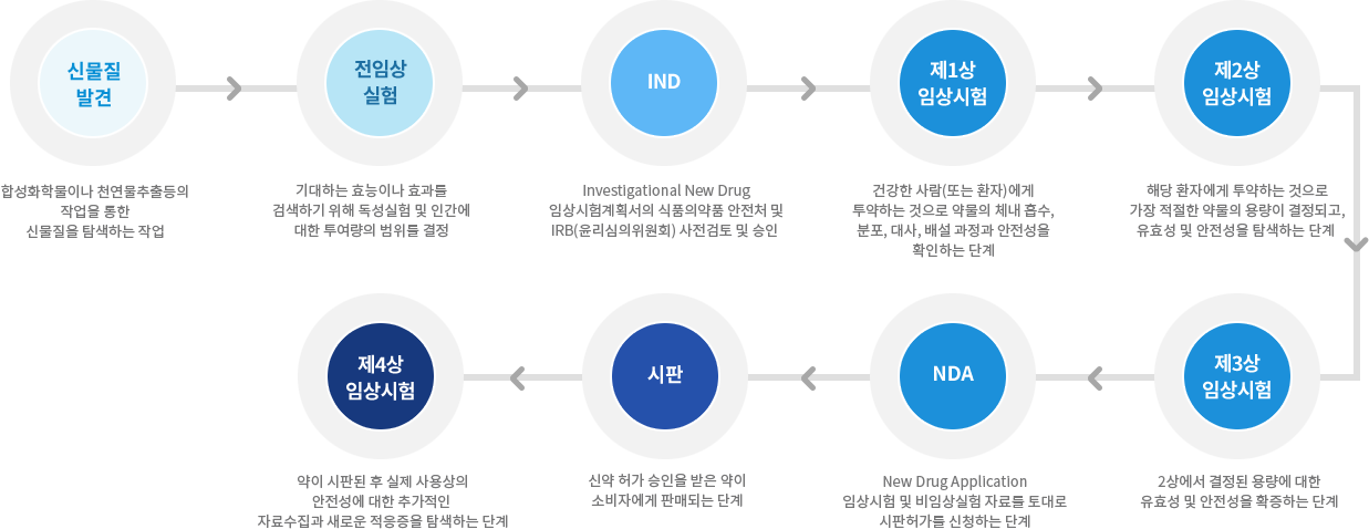 신약개발 절차